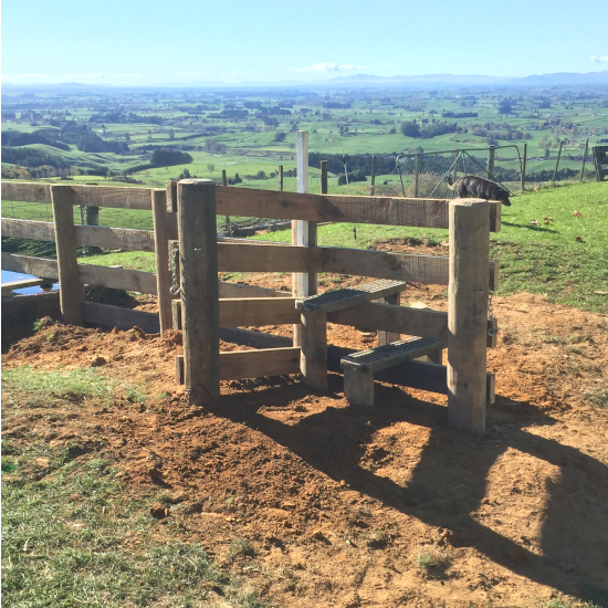 Post and Rail Fence with Stile